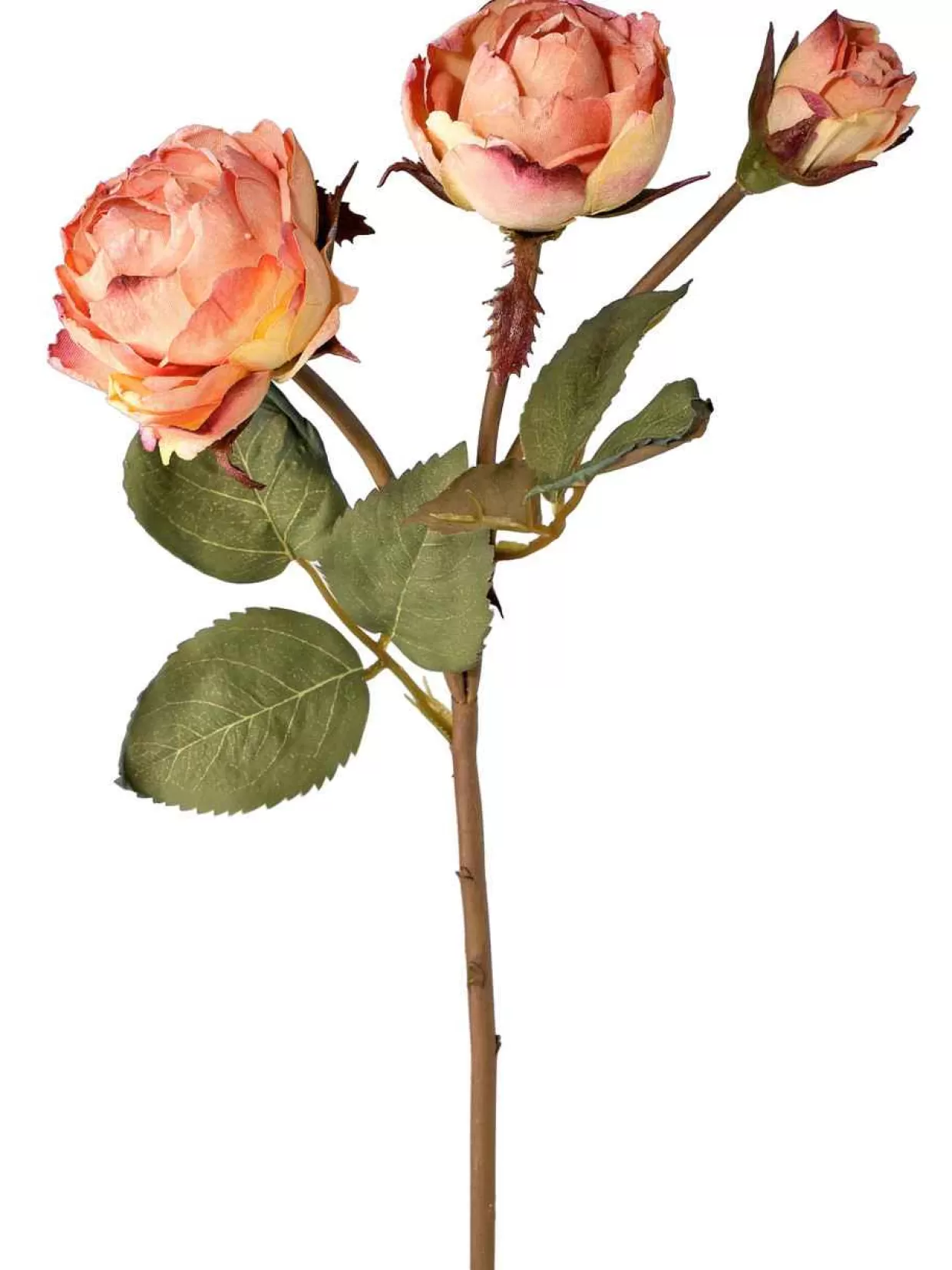 * 20" Just Dried Coral Colered Rose Spray* Tree Picks