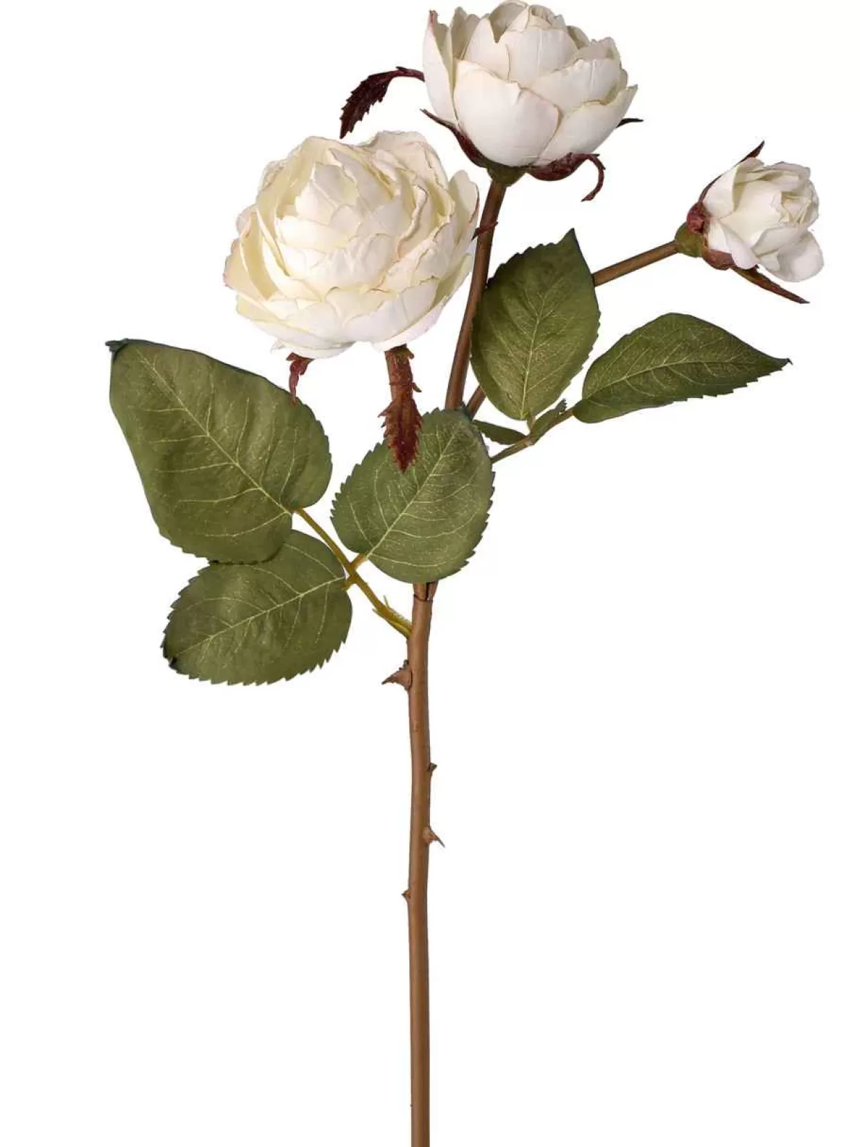 Kurt Adler 20" Just Dried White Rose Spray* Tree Picks