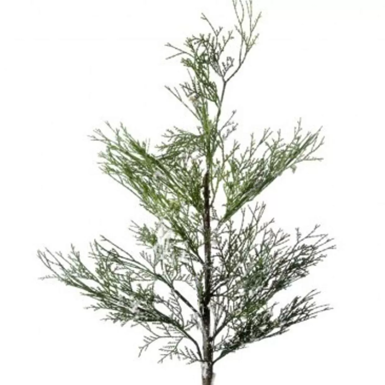 * 40" Iced Port Orford Cedar Branch* Tree Picks