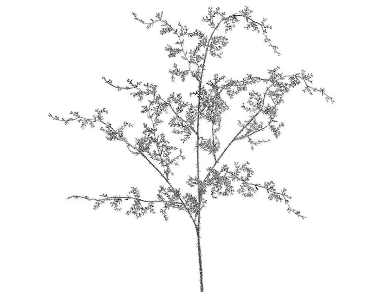 Kurt Adler Silver Glitter Angel Fern Spray, 26 Inches* Tree Picks