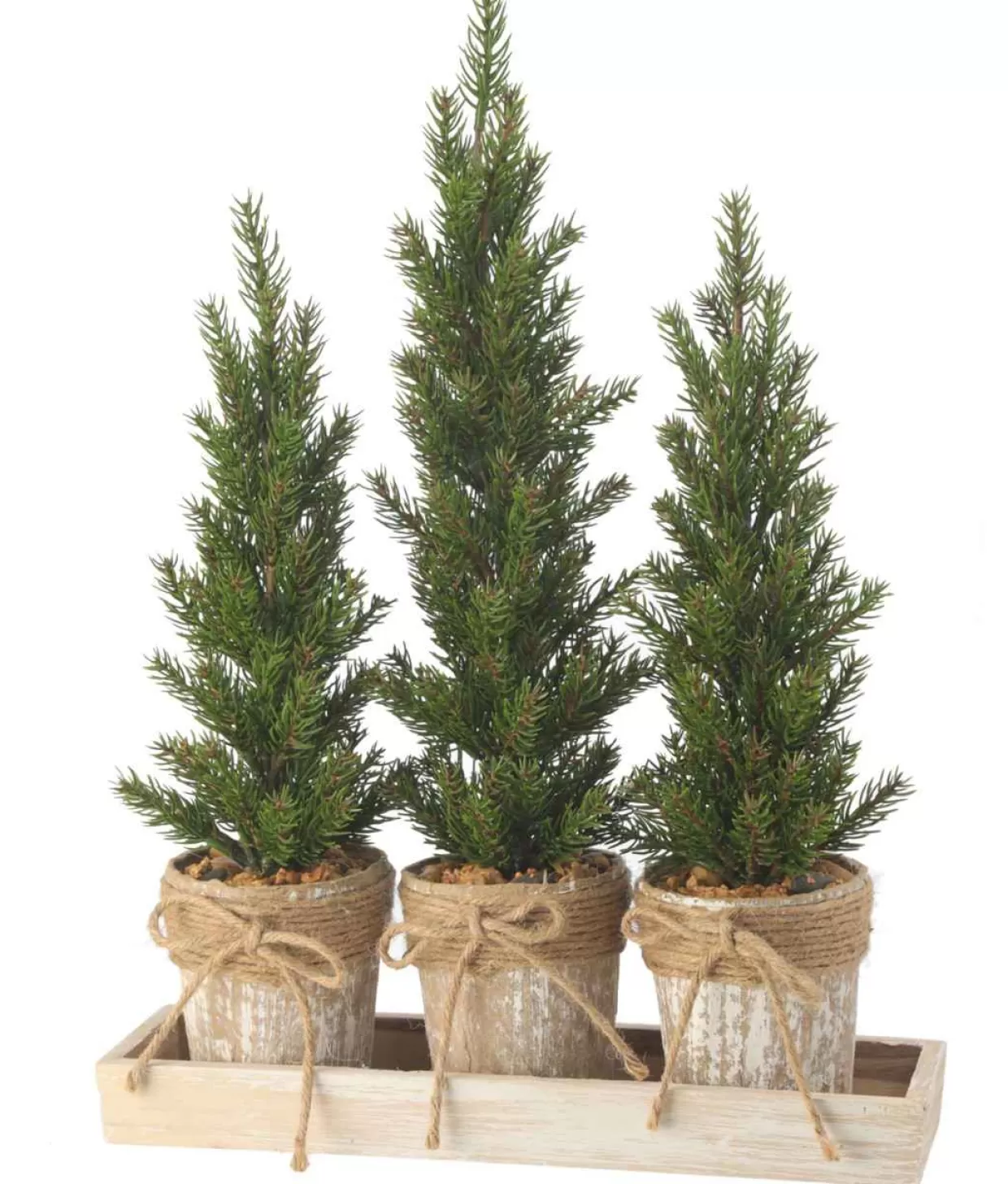 Jim Shore Triple Potted Pine Seedling Tray* Tabletop Trees